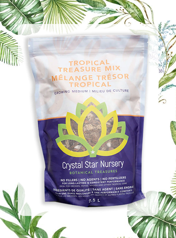 Tropical Treasure Mix-Crystal Star Nursery