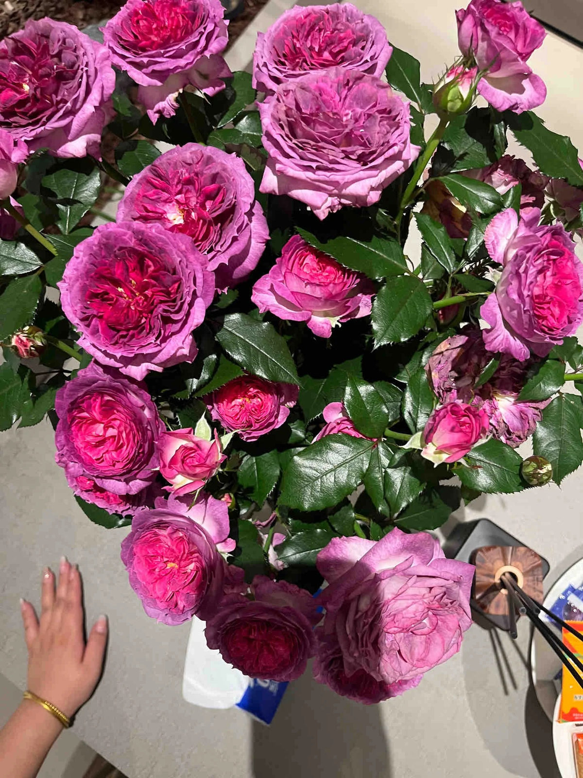 Thierry Marx® DELviopar-Potted Rose