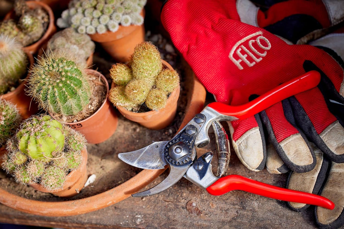 Felco Pruning Shears (F 14) - High Performance Swiss Made One-Hand Garden Pruner with Steel Blade,Red, Silver