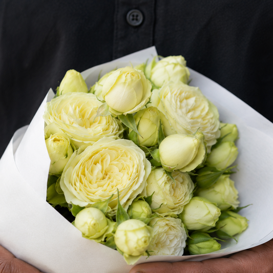 Creamy Eden 奶油龙沙 -Potted Rose – Ready to Ship