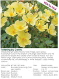 Tottering by Gently-Pre Order 2026