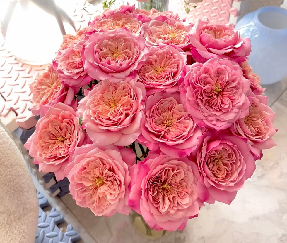 Miyabi-Potted Rose-Ship in June