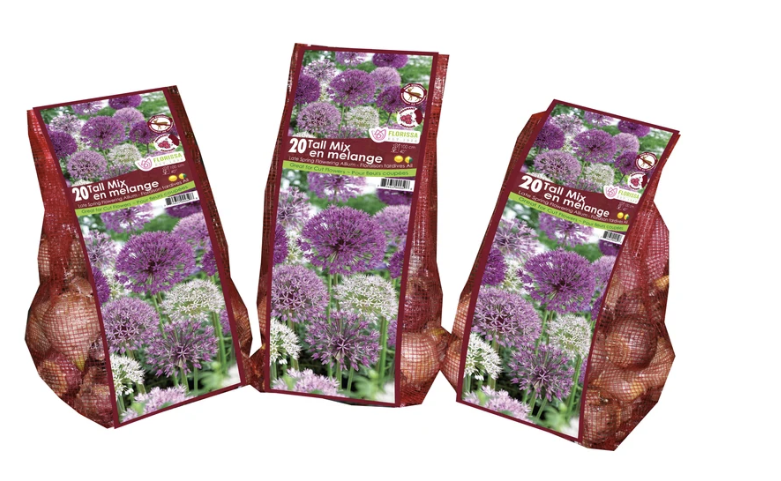 Allium Tall Flowering Mix - 20 bulbs
