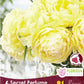Tulip Secret Perfume - 6 bulbs