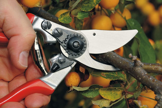 Felco F-9 Classic Pruner for Left Handers