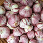 Garlic Duganski - 3 bulbs