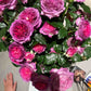 Thierry Marx® DELviopar-Potted Rose