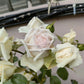 Martine Guillot Floribunda Rose  玛婷吉洛 2025 Pre-Order