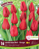 Tulip Landscape Red - 16 bulbs