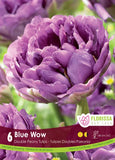 Tulip Blue Wow - 6 bulbs