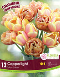 Copperlight - 12 bulbs
