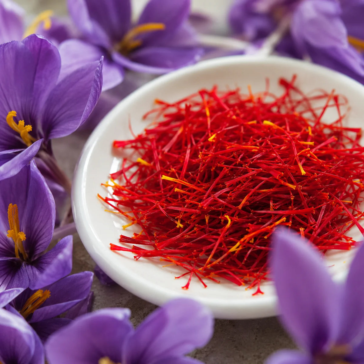 Crocus FF Sativus - Saffron Crocus- 20 bulbs