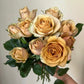Pine Dream-松之梦 -Pre Order 2026