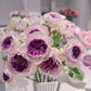 Blue Moon Stone Award-Winning 蓝月石 Japanese Rose-Potted Rose-Ship in June