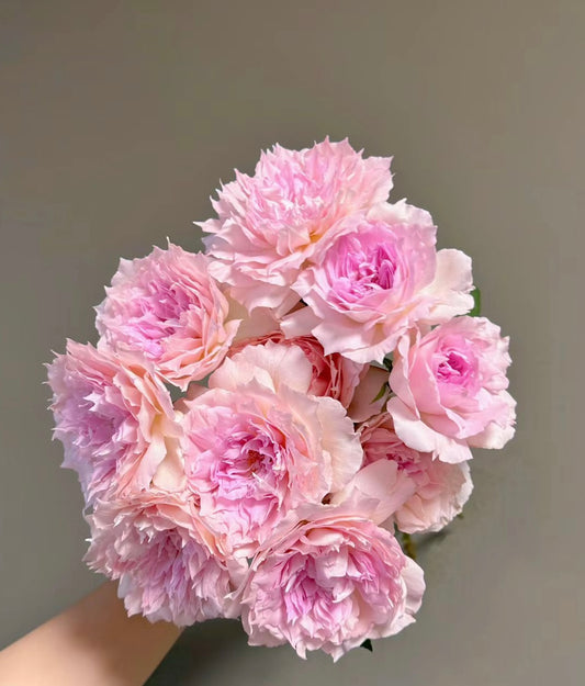 Ajourée bouquet close shot | fading pink color