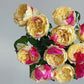 Fugetsu Rose Shurb Rose