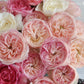 Tamaki Misora（Japan）美空 -Pre Order 2026