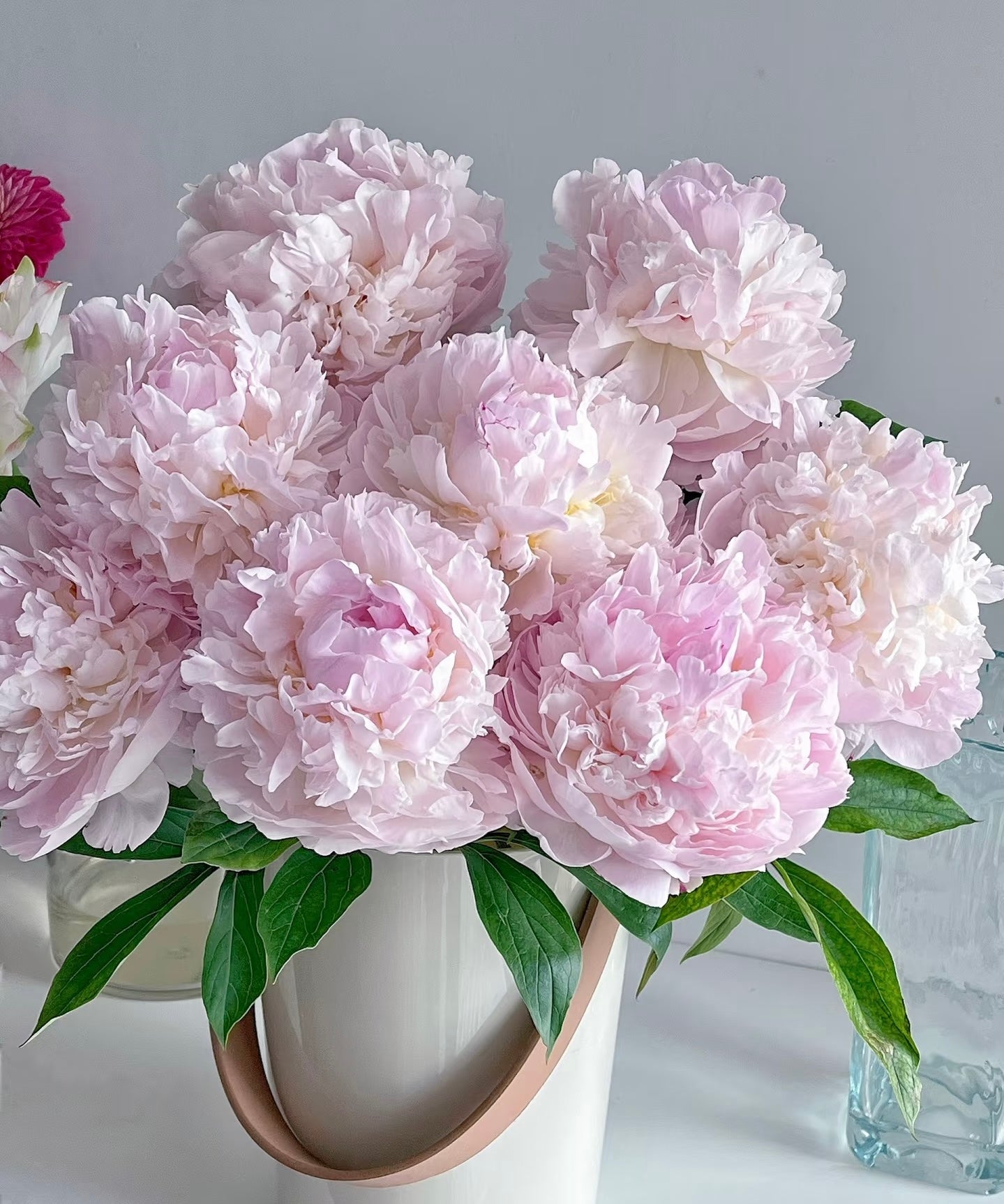 Peony - Blush Queen