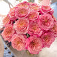 Miyabi-Potted Rose-Ship in June