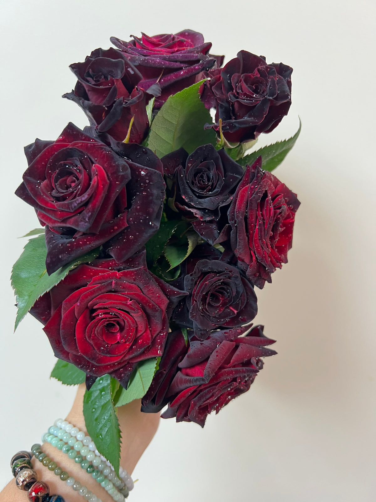 Black Baccara - Bare Roots