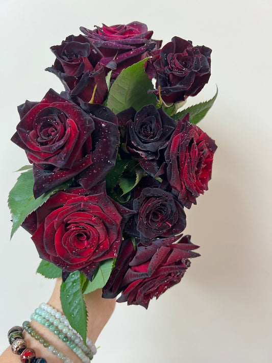Black Baccara - Bare Roots