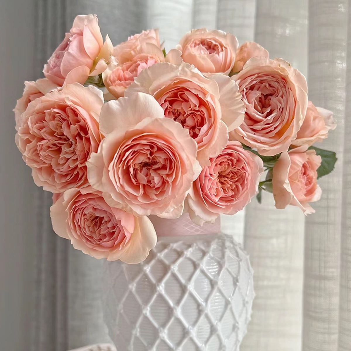 Apricot masora rose in white vase