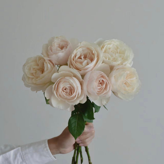 Princesse Astrid de Belgique Rose bouquet