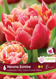 Tulip Verona Sunrise - 6 bulbs