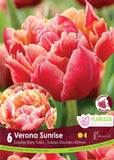 Tulip Verona Sunrise -6 bulbs