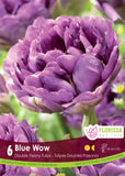 Tulip Double Late-Blue Wow