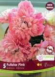 Anemone-Fullstar pink