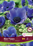 Anemone De Caen-Blue Poppy