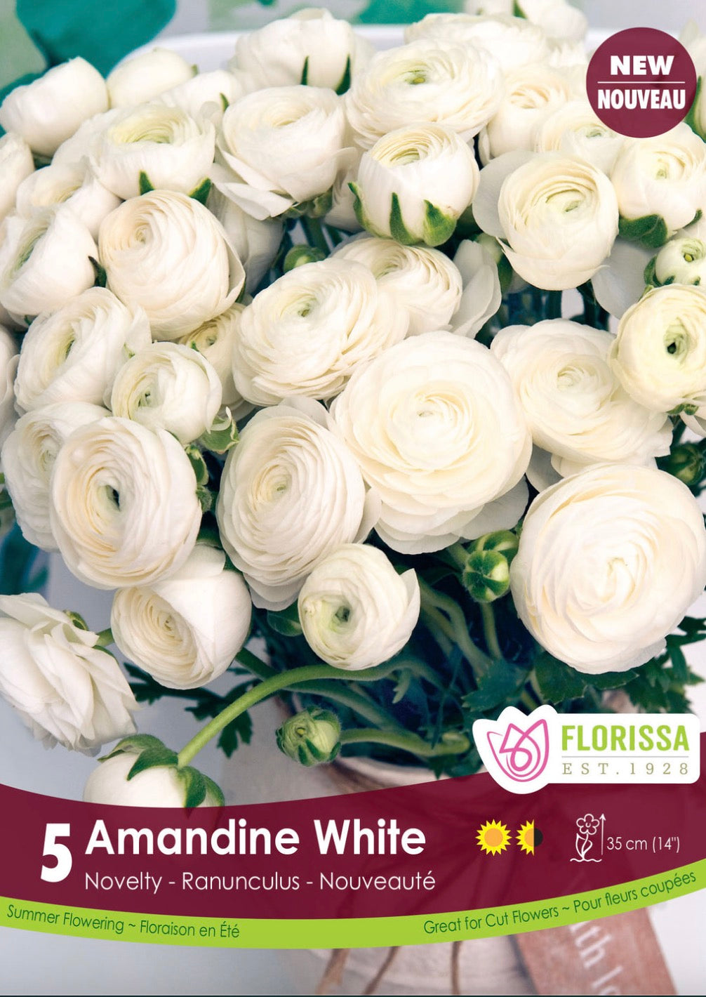 Ranunculus-Amandine White